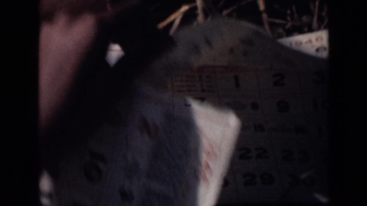 A hand turns or folds a calendar sheet, with the darkened page and printed dates partly visible.