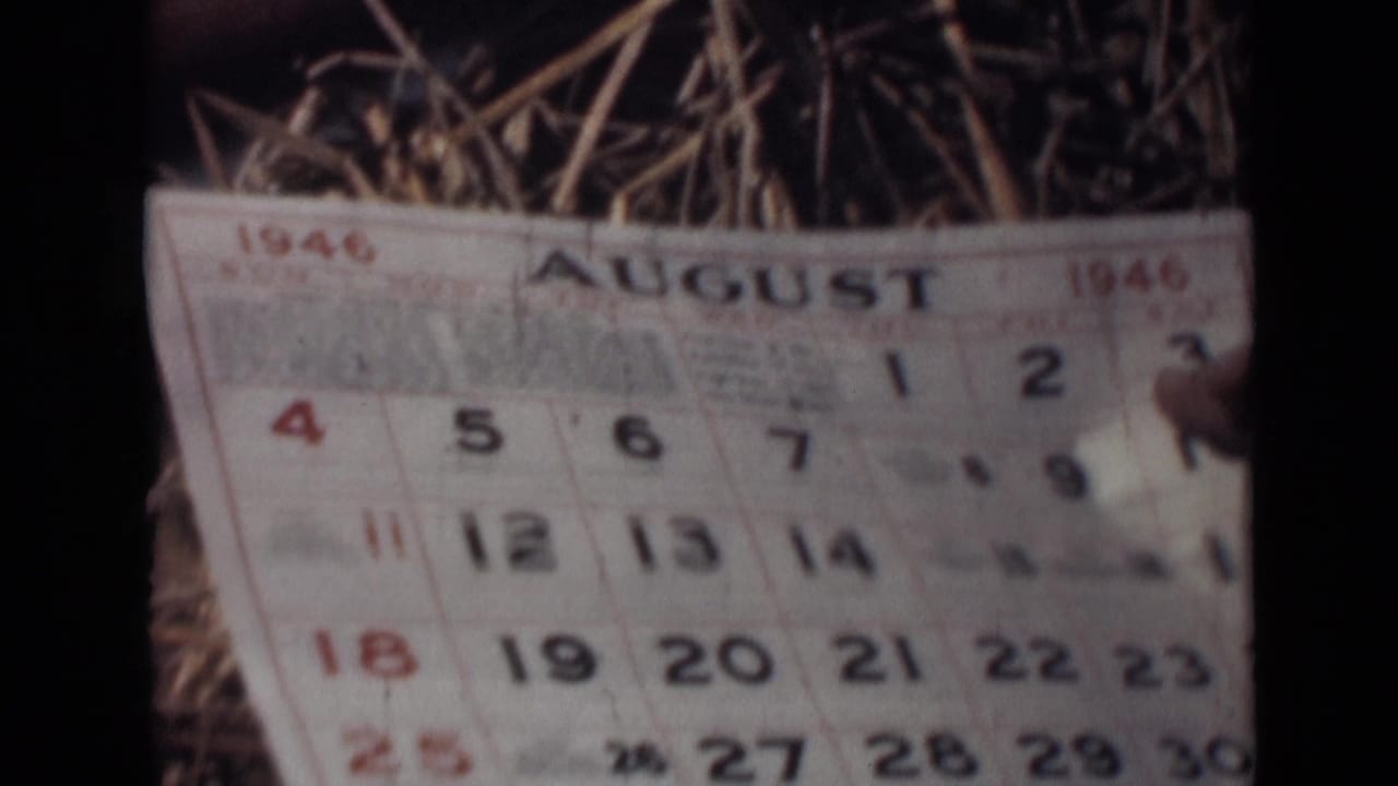 An August 1946 calendar page is held in view, with hands near the edges and dates printed in red and black.