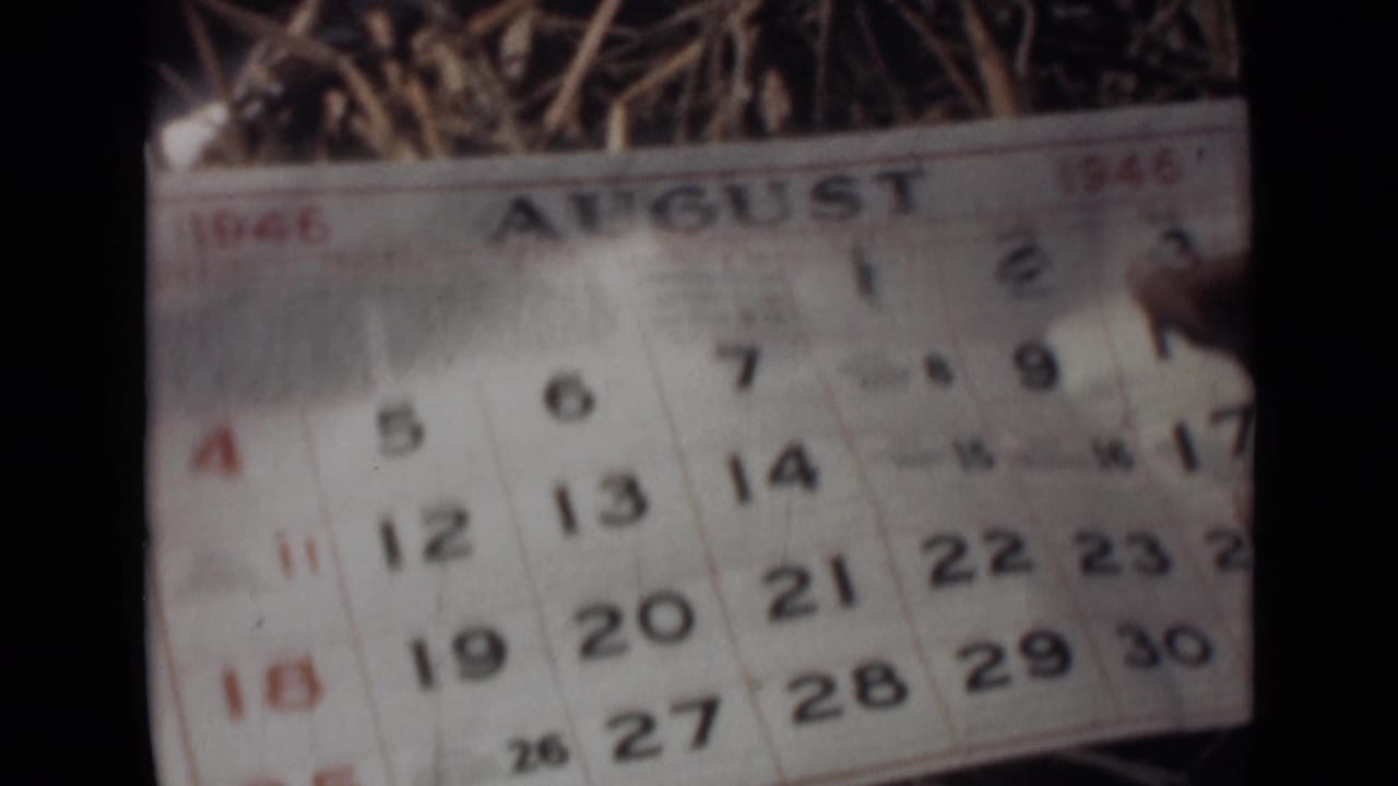 August 1946 calendar page seen in soft focus beside a dark vertical divider.