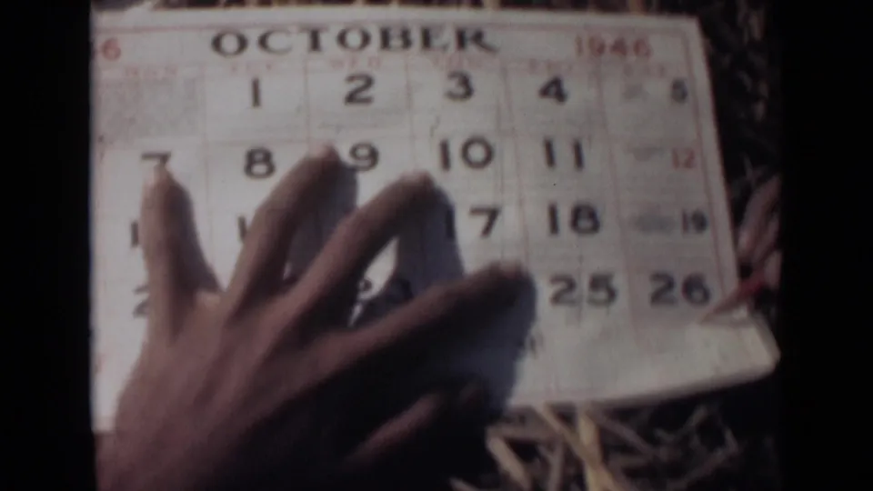 A hand rests across the October 1946 calendar page, partly covering the date numbers, with straw visible around the paper.