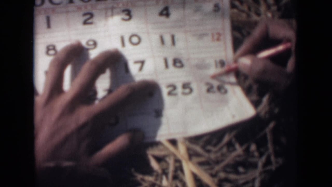 The red pencil finishes circling the 26th on the October 1946 calendar, with a hand spread across the page and straw beneath it.