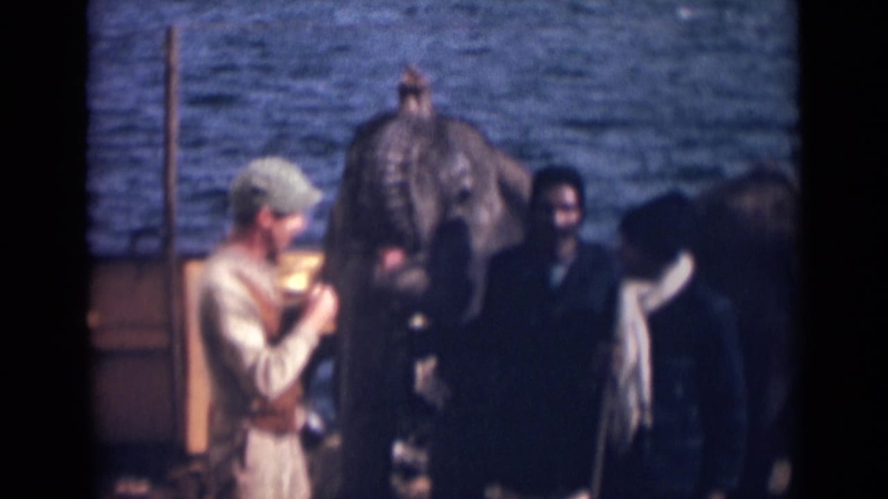 1946 India waterfront scene with handlers in period clothing standing near small elephants.