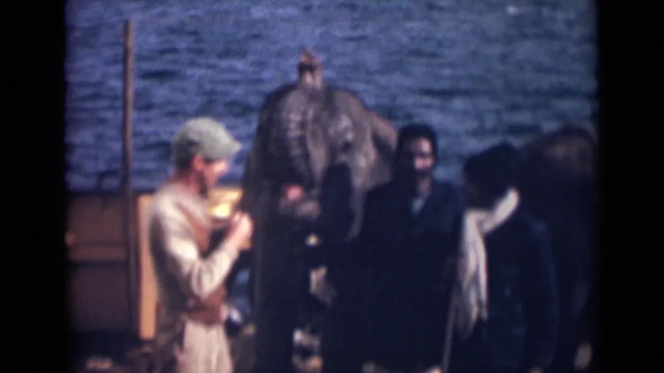 1946 India waterfront scene with handlers in period clothing standing near small elephants.