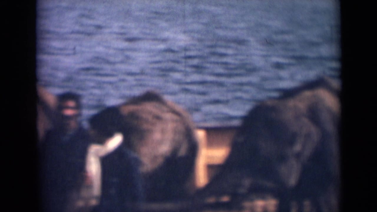 Two elephants and nearby adults are seen in soft focus against water.