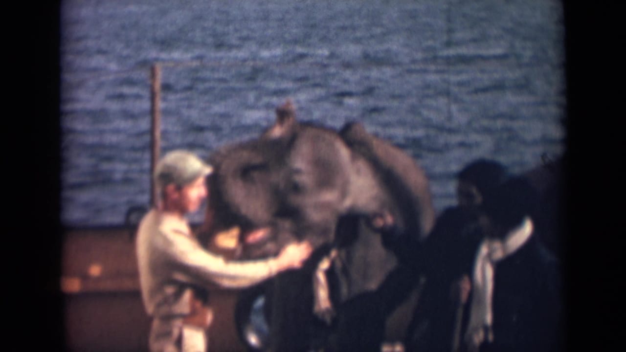 1946 India home-movie frame showing a man in light clothing reaching toward an elephant at a waterfront gathering.