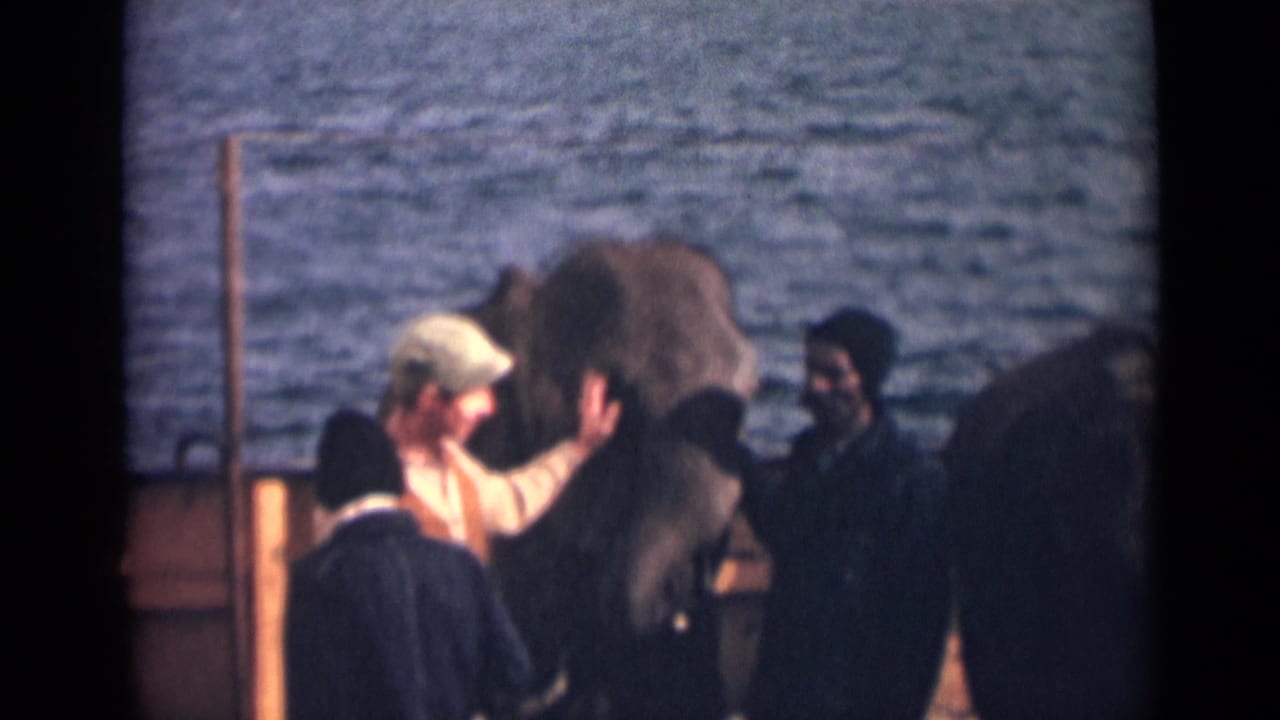 A man pets the young elephant's head in 1946 India footage as several men observe from a waterfront boat or dock setting.