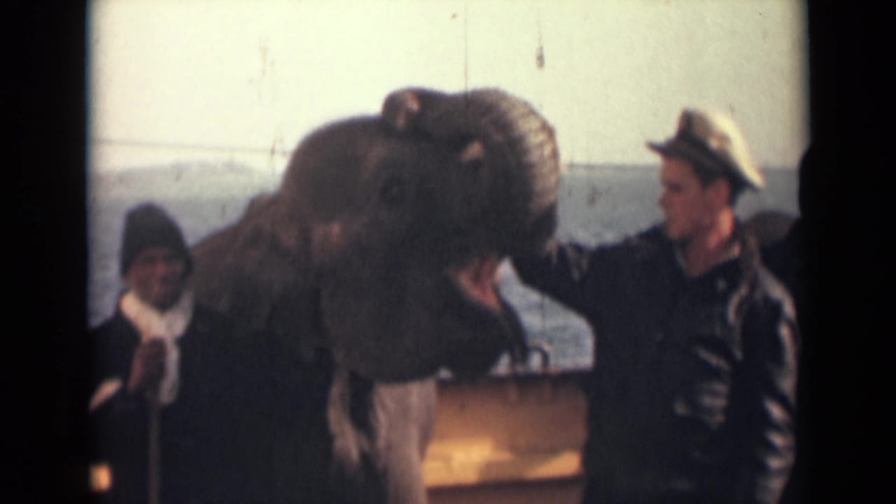 In the final frame, the elephant's trunk is lifted while men stand close in a 1946 India home-movie scene near water or a vessel.