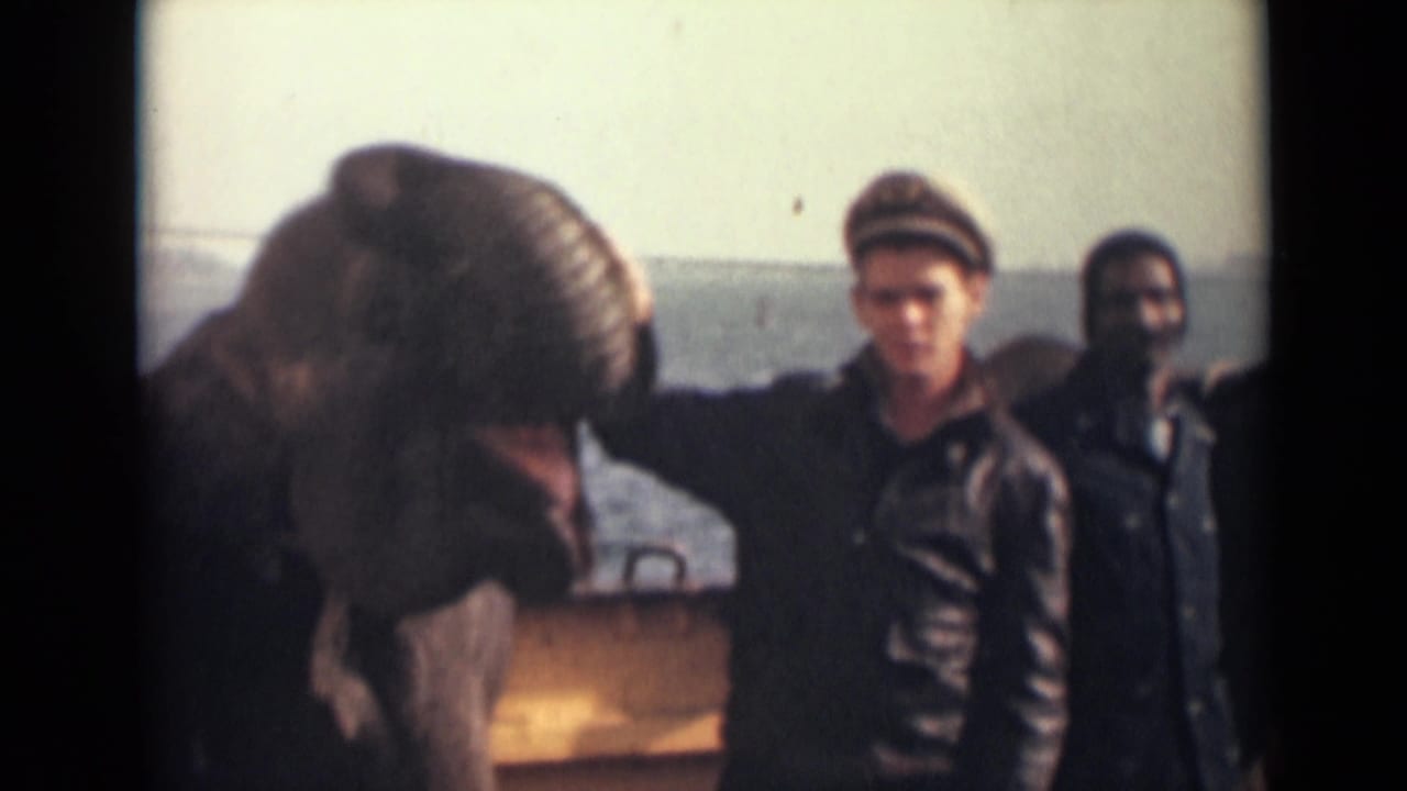 In 1946 India home-movie footage, a man in a naval-style cap pets an elephant on a boat or deck as another man stands nearby.