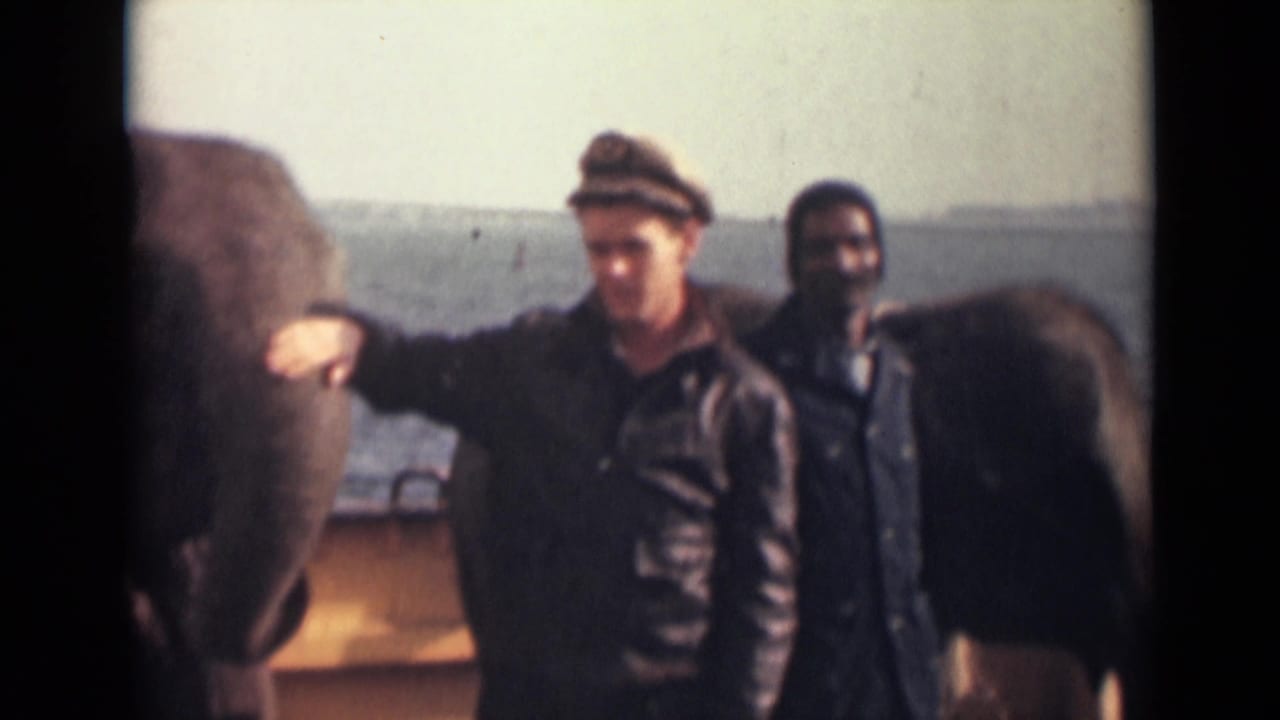 The elephant remains calm beside the capped man on a deck, with another man and open water visible in the background.