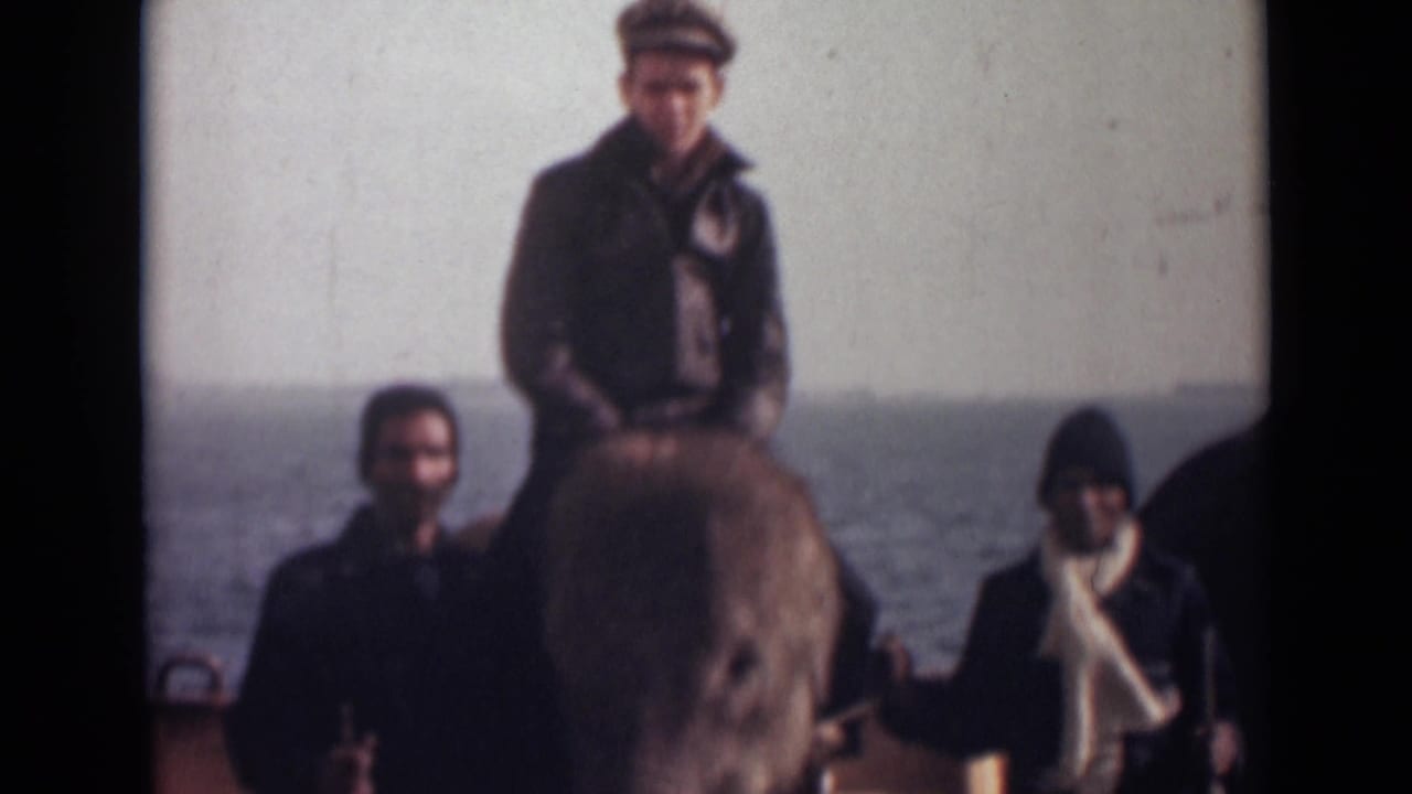 1946 India home-movie frame with an elephant close to camera, a capped rider, and two men posed against the sea.