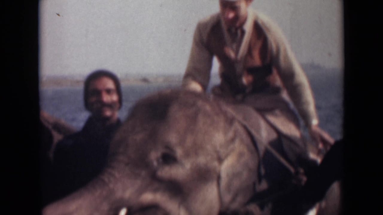 1946 India 8mm frame showing a rider leaning over an elephant as another man stands near the animal by the water.