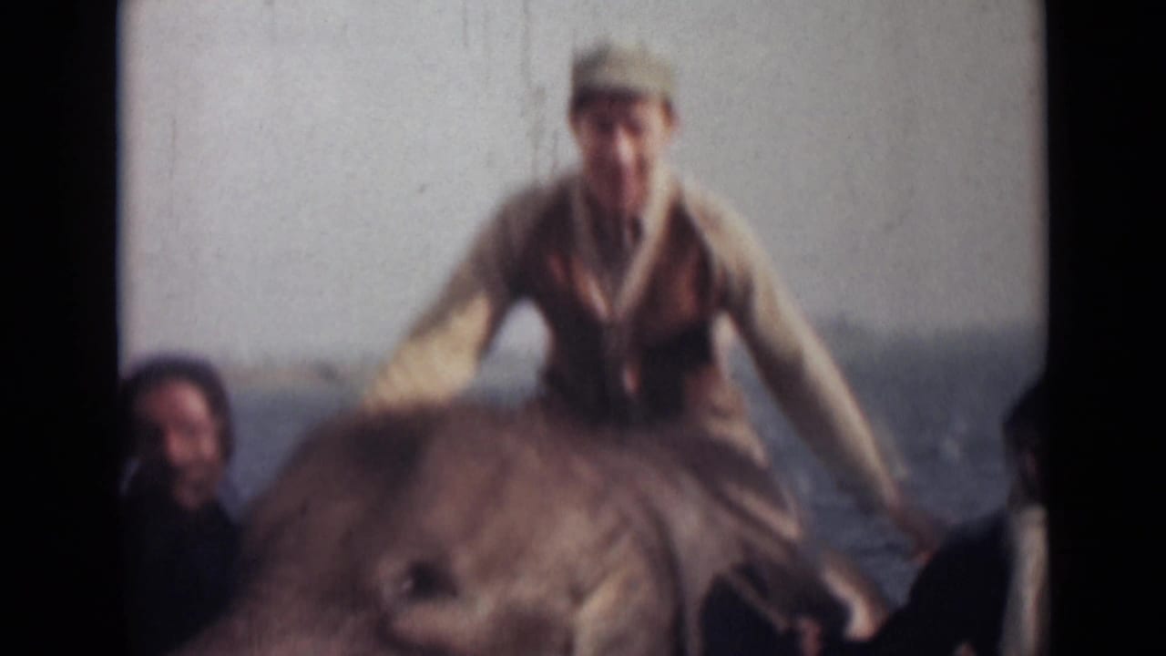 1946 India home-movie frame with a soft, blurred view of a rider shifting on an elephant near the sea.