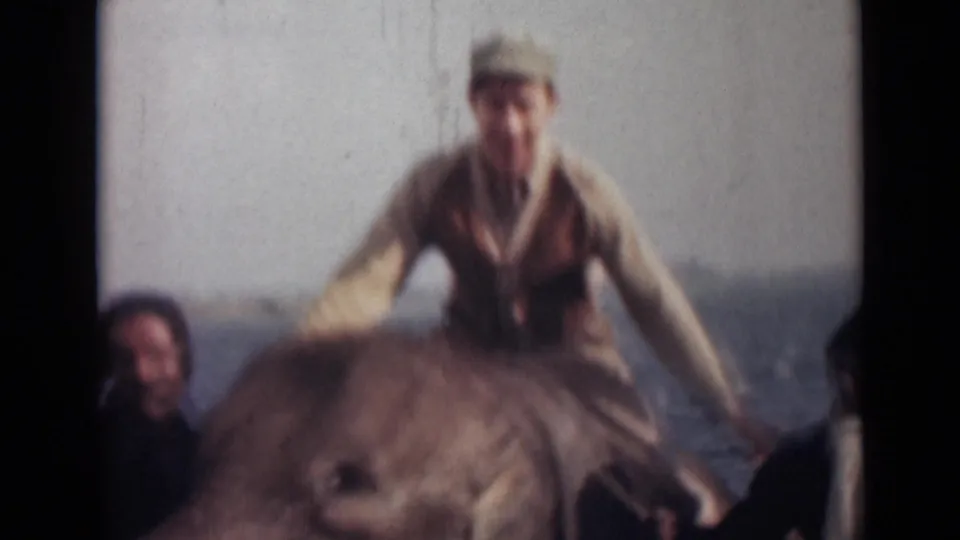 1946 India home-movie frame with a soft, blurred view of a rider shifting on an elephant near the sea.