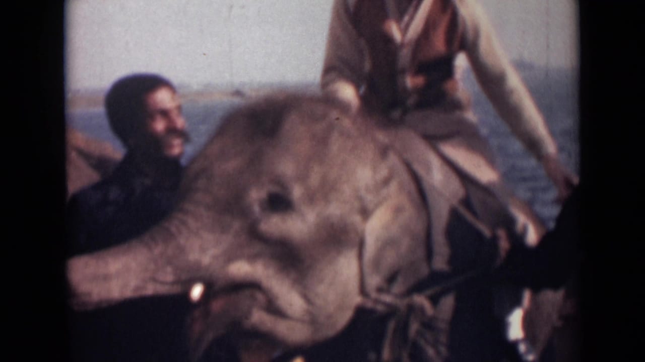 Man riding an elephant on a ship deck with another man beside the animal.