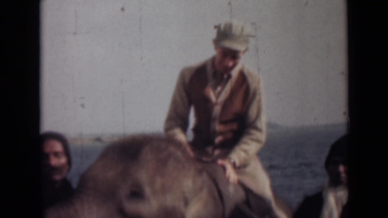 Rider in cap sits on an elephant near ship railings as people watch.