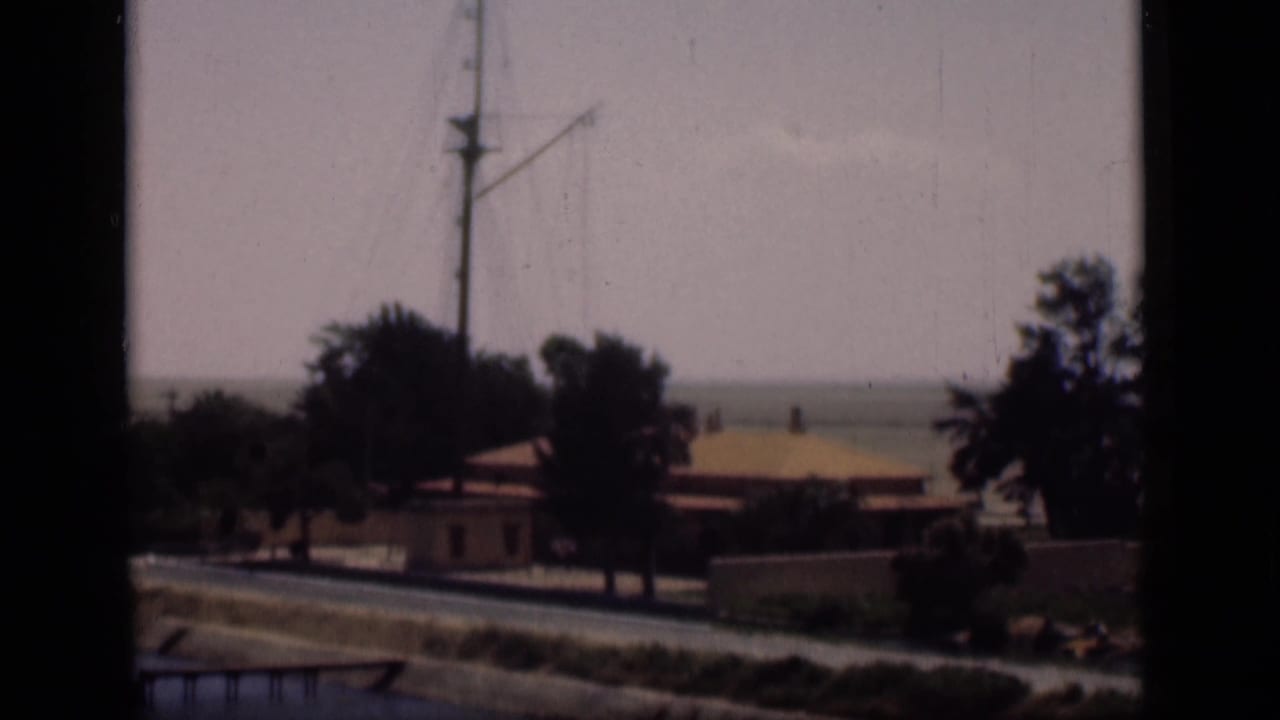 1946 Suez Canal shoreline view with trees, low buildings, a road, water beyond, and a tall pole or mast.