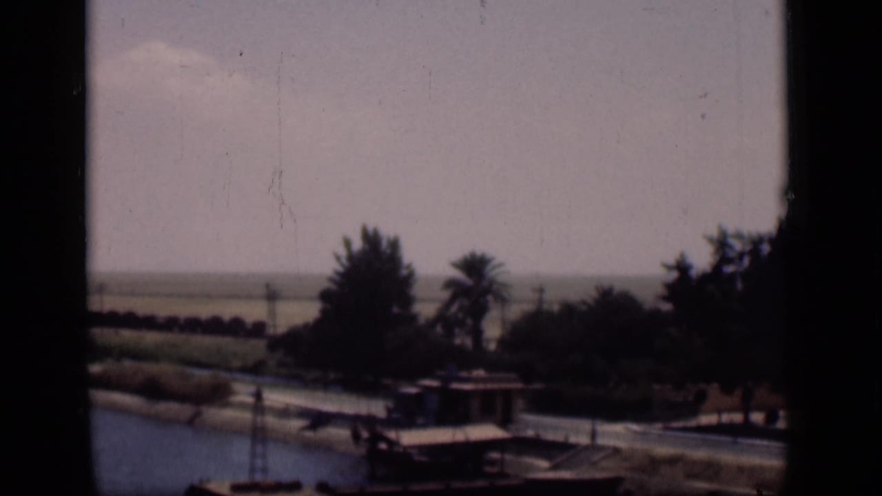 1946 Suez Canal area scene showing water, a small boat by the bank, palm trees, and low waterside structures.