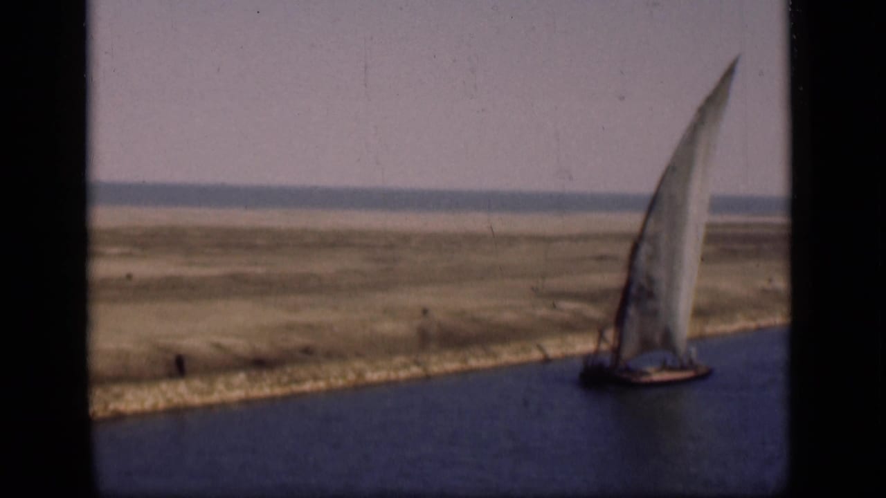 Small sailboat with a tall white sail moves along calm water beside a sandy bank.