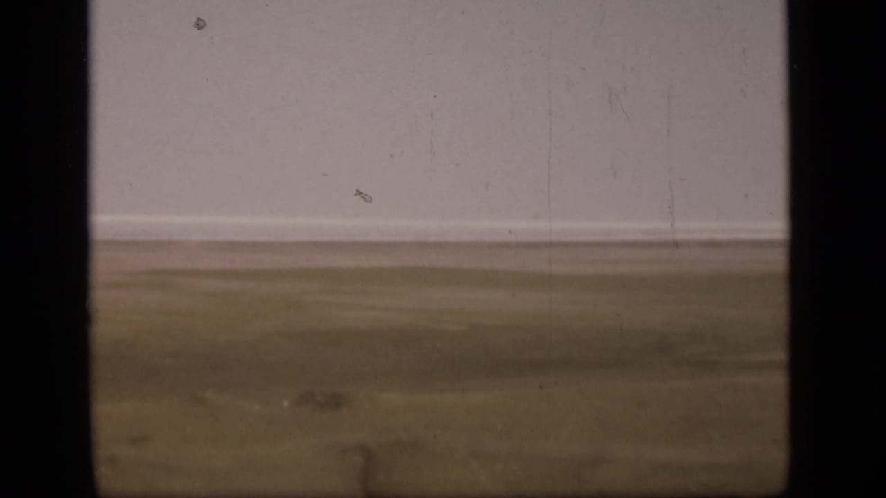 Static 1946 home-movie frame of flat Suez Canal area plains, with a pale sky and visible film wear.