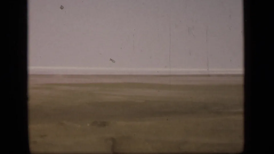 Static 1946 home-movie frame of flat Suez Canal area plains, with a pale sky and visible film wear.