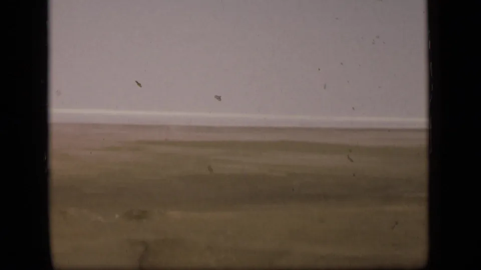 1946 8mm view of a flat desert landscape in the Suez Canal region, seen through soft focus with dark frame edges and film wear.