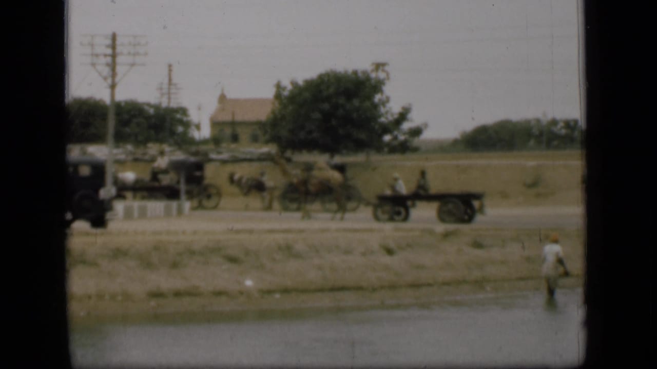 1946 Suez Canal area roadside view with animal-drawn carts, a dark automobile, utility poles, open ground, and a person by the water.