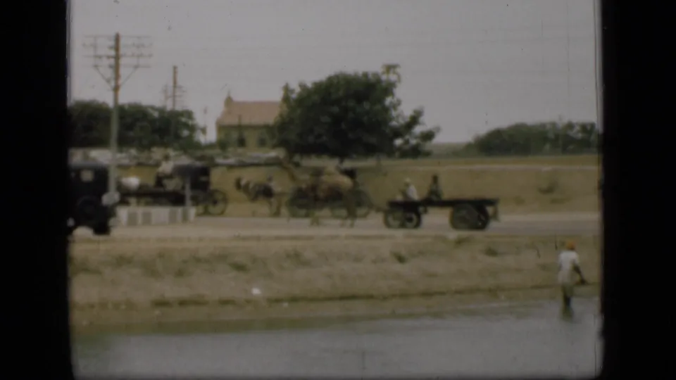 1946 Suez Canal area roadside view with animal-drawn carts, a dark automobile, utility poles, open ground, and a person by the water.
