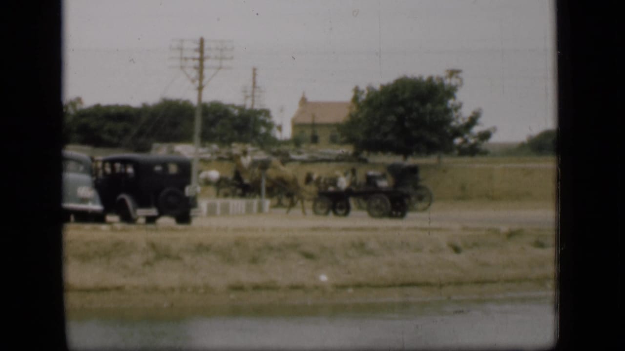 1946 Suez Canal area street view with period vehicles, an animal-drawn cart, trees, and open ground by a canal or water edge.
