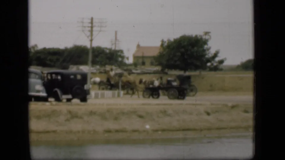 1946 Suez Canal area street view with period vehicles, an animal-drawn cart, trees, and open ground by a canal or water edge.