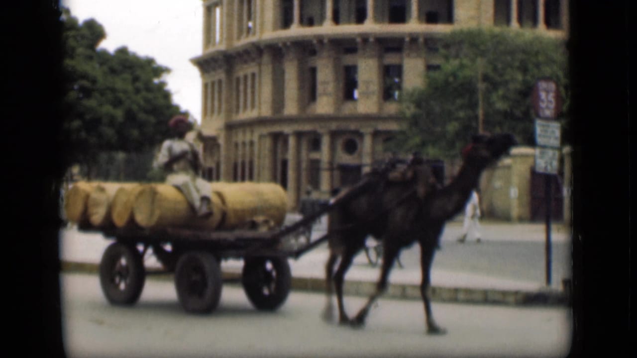 In 1946 Suez Canal area footage, a camel pulls a wooden cart loaded with cylindrical bundles while a driver sits on top.