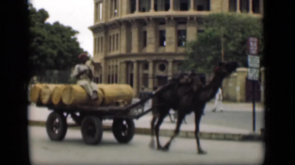 In 1946 Suez Canal area footage, a camel pulls a wooden cart loaded with cylindrical bundles while a driver sits on top.
