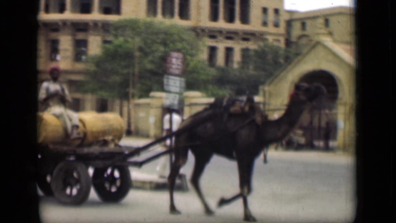 Camel-drawn cart continues through a Suez Canal area street, passing a building entrance with pedestrians and signage in view.
