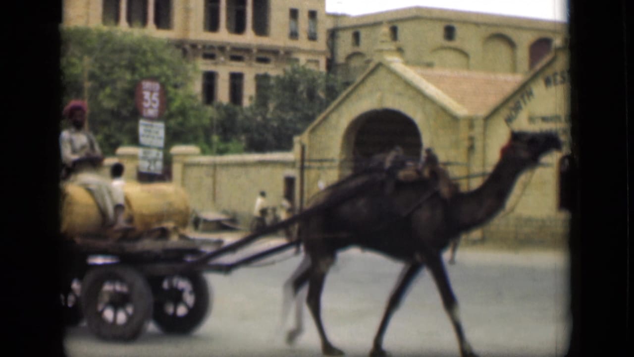 In the stated 1946 Suez Canal, Egypt footage, a camel pulls a cart loaded with cylindrical bundles past older buildings and street signs.
