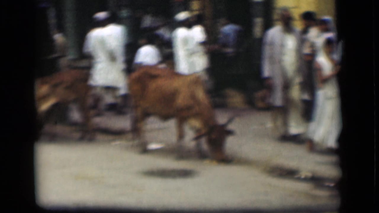 Cow and pedestrians gathered on a street near a cart or curbside area.