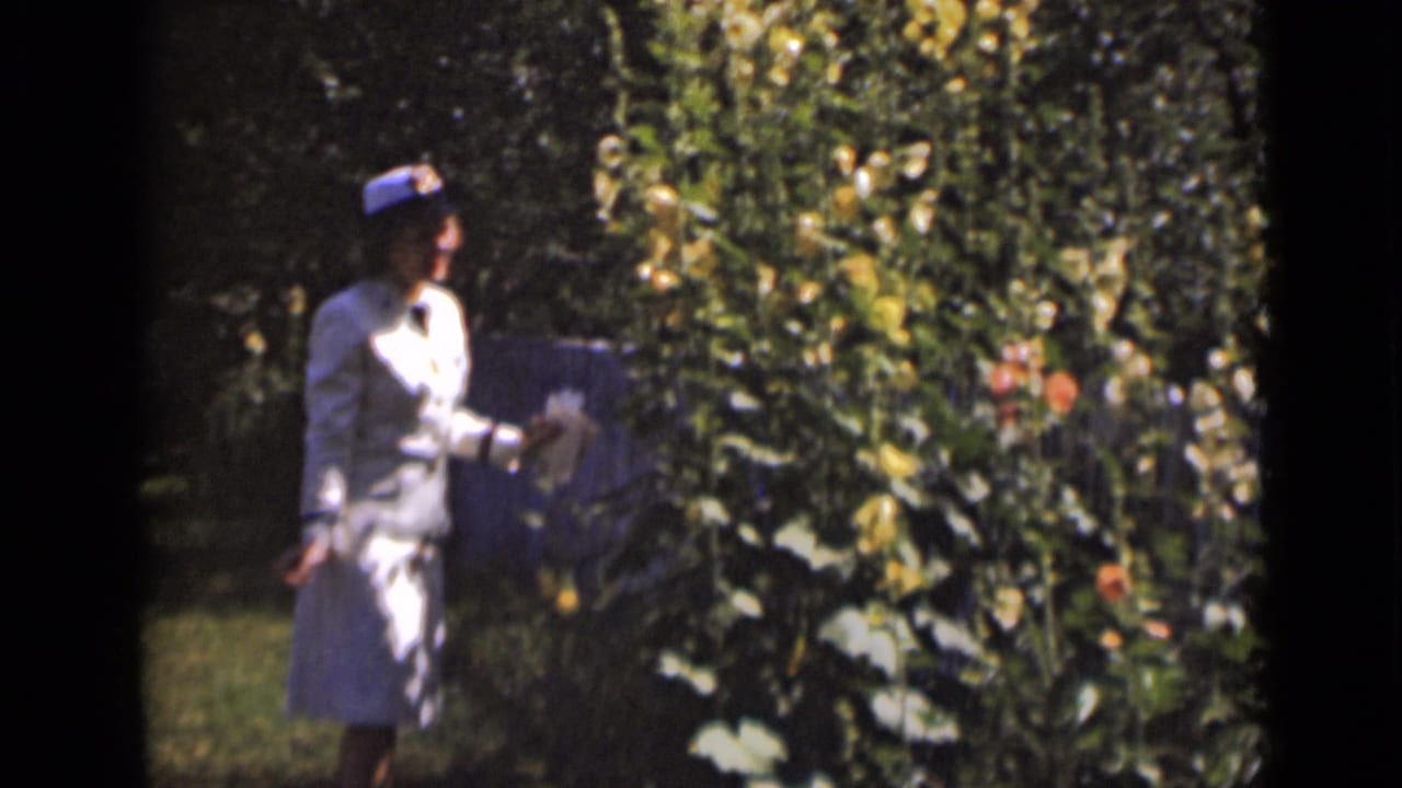 The woman appears to inspect or smell a tall garden plant, surrounded by dense foliage in 1947 New York 8mm footage.