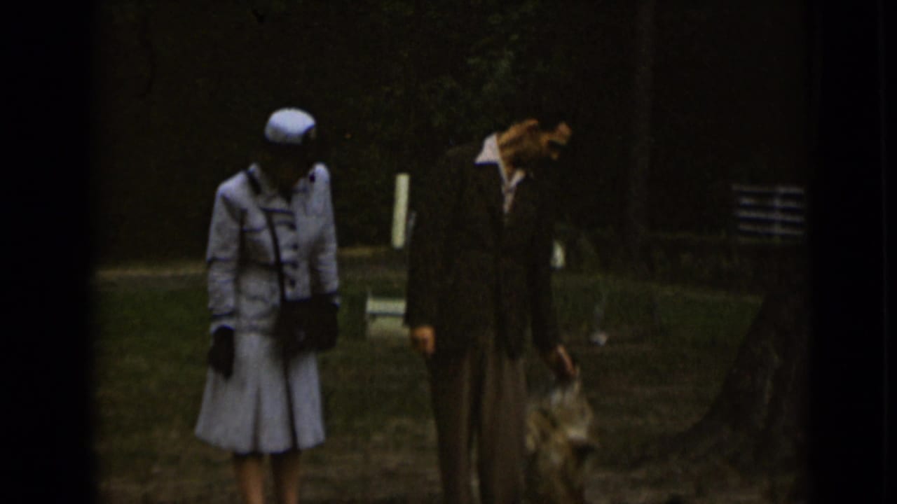 Couple pauses or walks slowly with a small dog at the man's side.