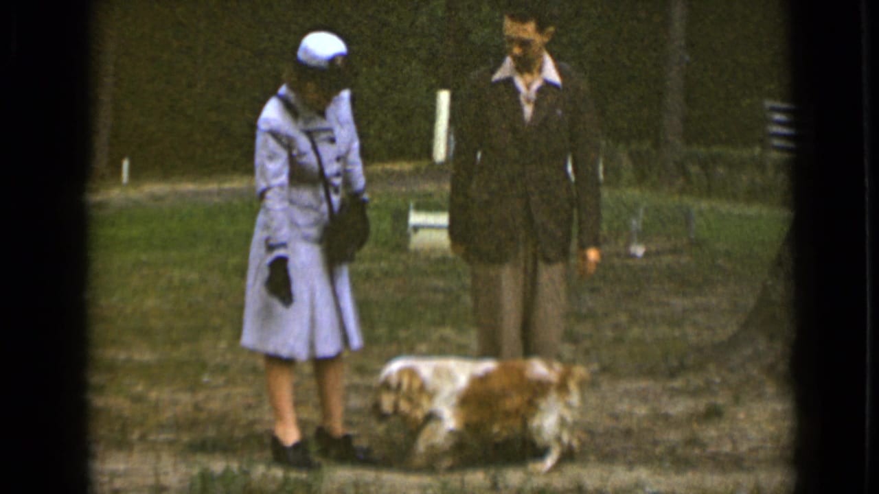 Woman in a light uniform stands beside a suited man as a small dog sniffs the ground.