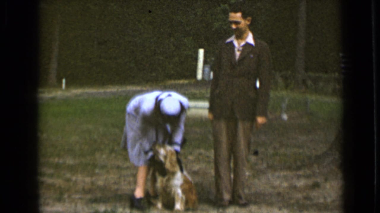 Woman in a light dress bends toward a small dog while a man in a dark suit stands nearby on grass.