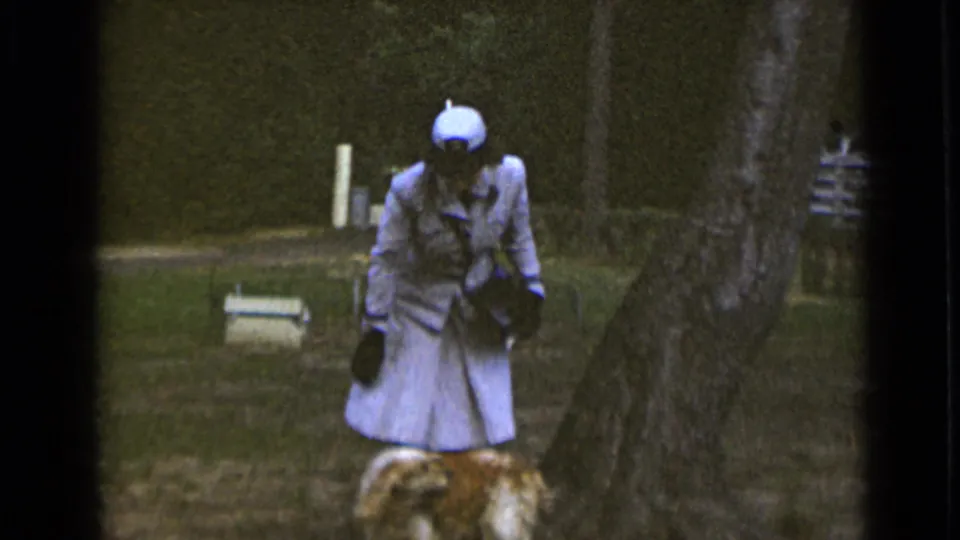 The final frame shows the woman leaning toward the dog in the park, with a large tree trunk and bench visible behind her.