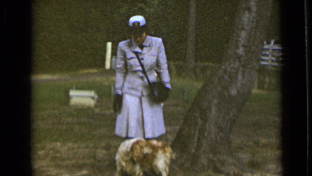 Uniformed woman stands in a park with a golden spaniel near trees and grass.
