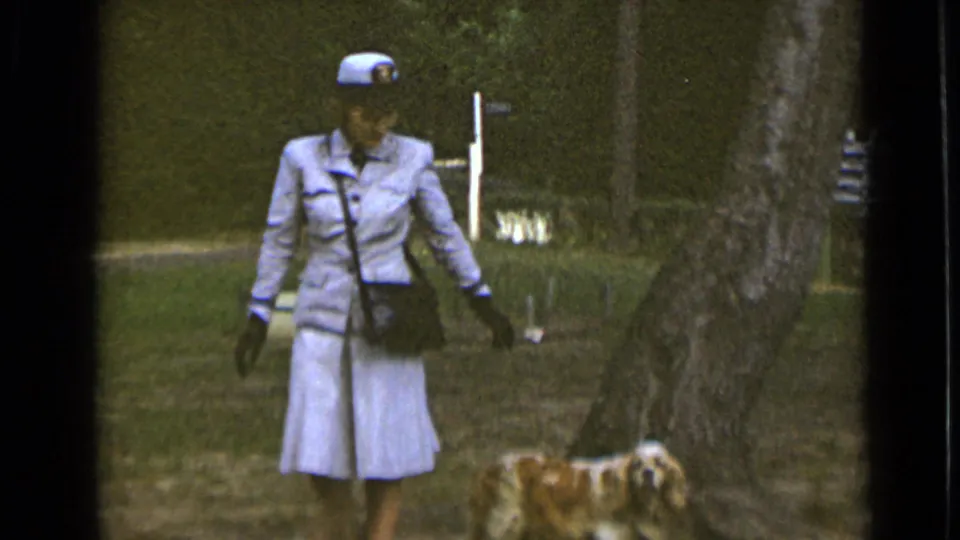 In the final frame, the uniformed woman extends one arm while her golden spaniel stands near a tree in the grassy New York park.