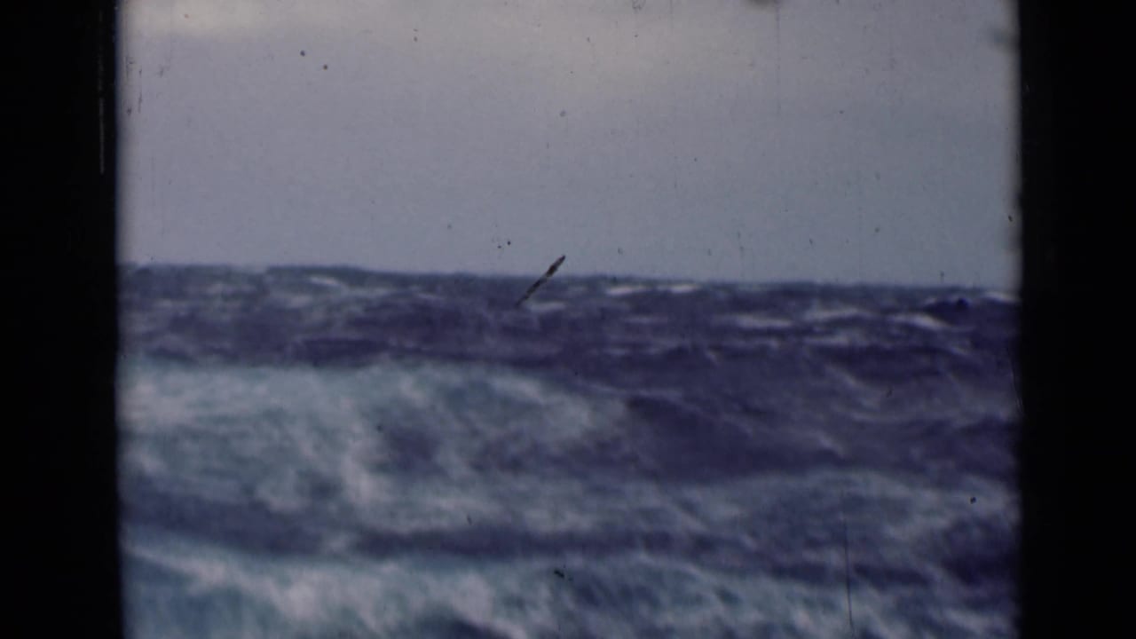 Rolling ocean waves with whitecaps under a muted sky and dark film borders.