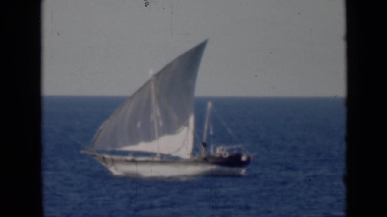 Dhow under a white sail moving across open blue water.