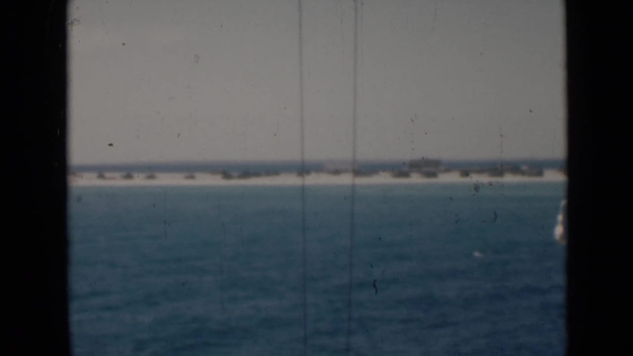 Open water and a low distant shoreline framed by dark vertical edges.