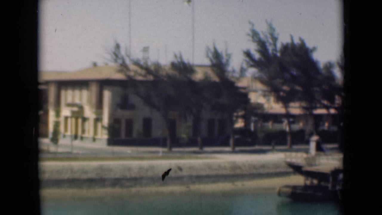 Suez Canal shoreline with a long pale building, trees, quay wall, turquoise water, and a small dock edge entering from the right.