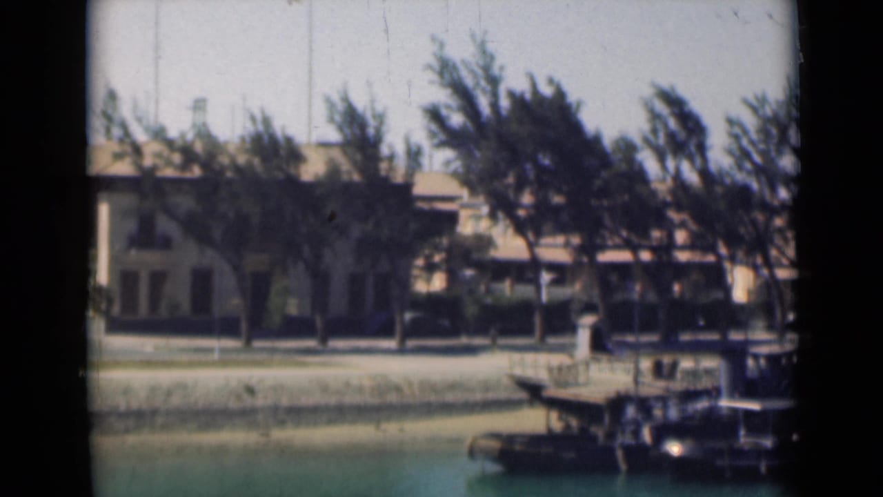 1946 canal waterfront with windblown trees, the pale building partly obscured, and a small boat or dock structure in the foreground.