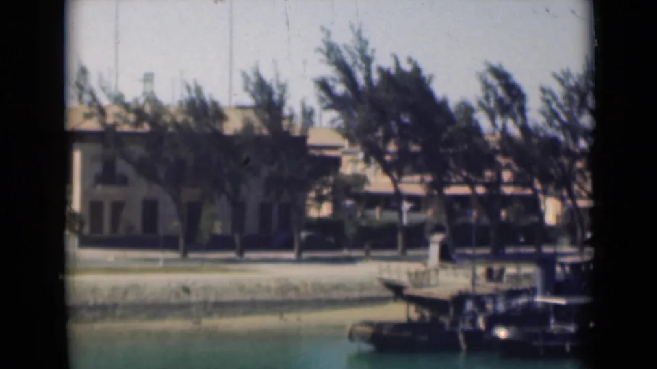 1946 canal waterfront with windblown trees, the pale building partly obscured, and a small boat or dock structure in the foreground.