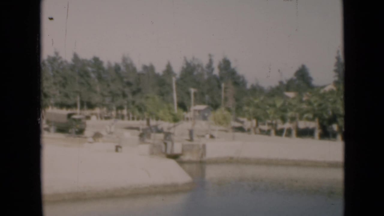 Concrete canal edge and calm water with trees, poles, and roadside structures beyond.