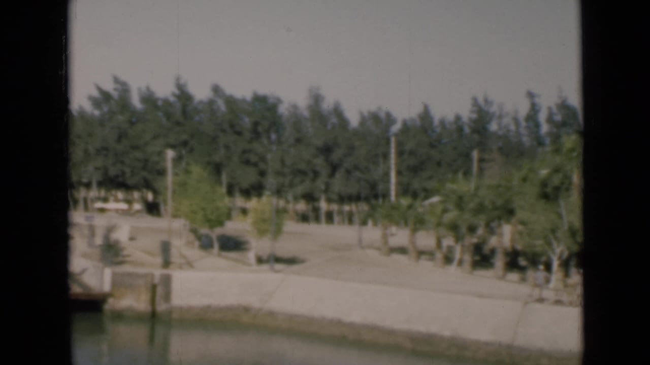 1946 Suez Canal frame showing calm foreground water, a concrete embankment, roadside trees, utility poles, and sunlit vegetation.