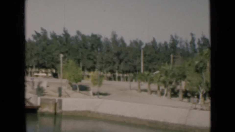 1946 Suez Canal frame showing calm foreground water, a concrete embankment, roadside trees, utility poles, and sunlit vegetation.